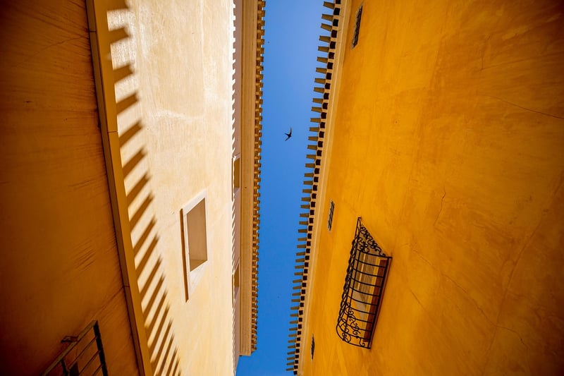 Parallel Lines Pattern